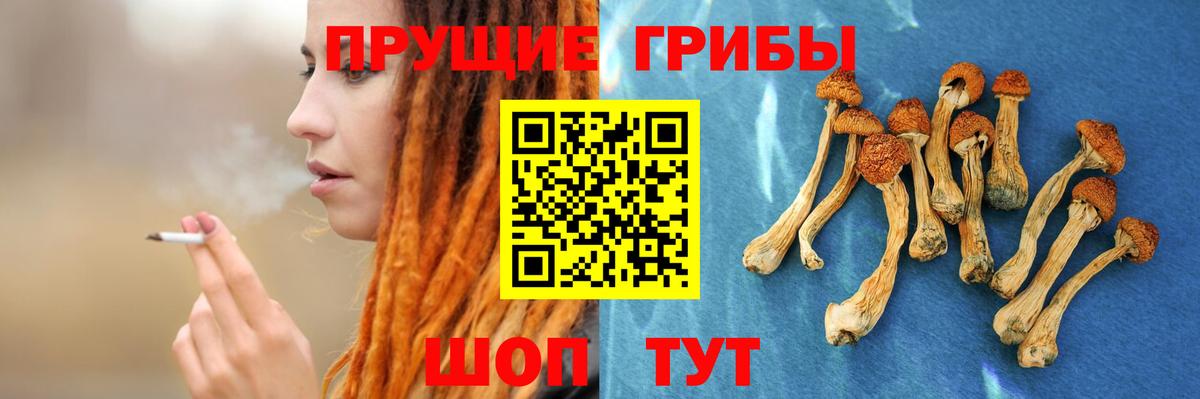 Псилоцибиновые грибы прущие грибы  Вход с VPN  что такое наркотик  Красногорск 